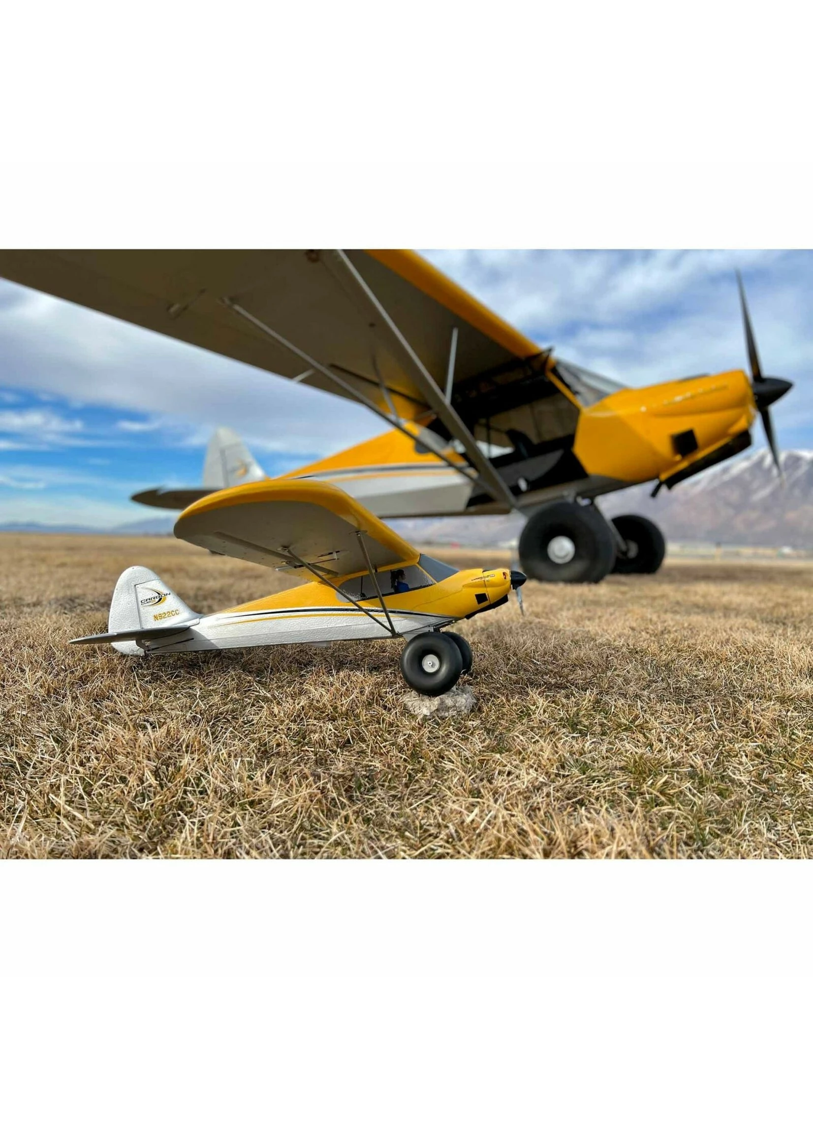 Hobbyzone HBZ32000LE - Carbon Cub S 2 1.2M Chandra Patey Limited Edition 4 Hobbyzone HBZ32000LE - Carbon Cub S 2 1.2M Chandra Patey Limited Edition - Image 2